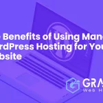 Managed WordPress Hosting for Your Website